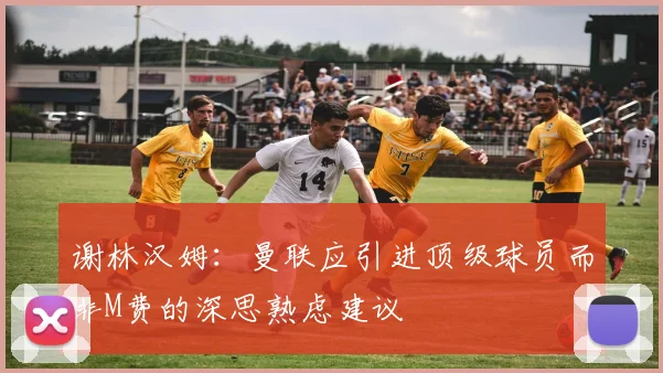 谢林汉姆：曼联应引进顶级球员而非M费的深思熟虑建议