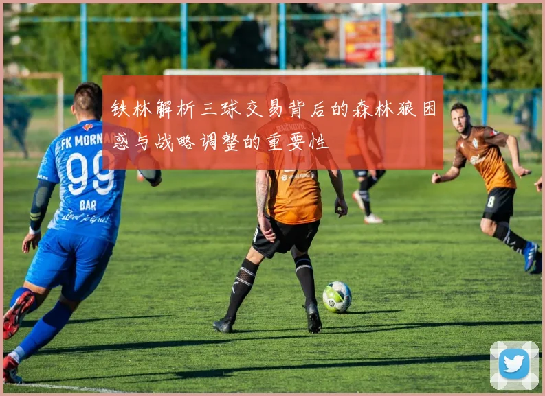 铁林解析三球交易背后的森林狼困惑与战略调整的重要性
